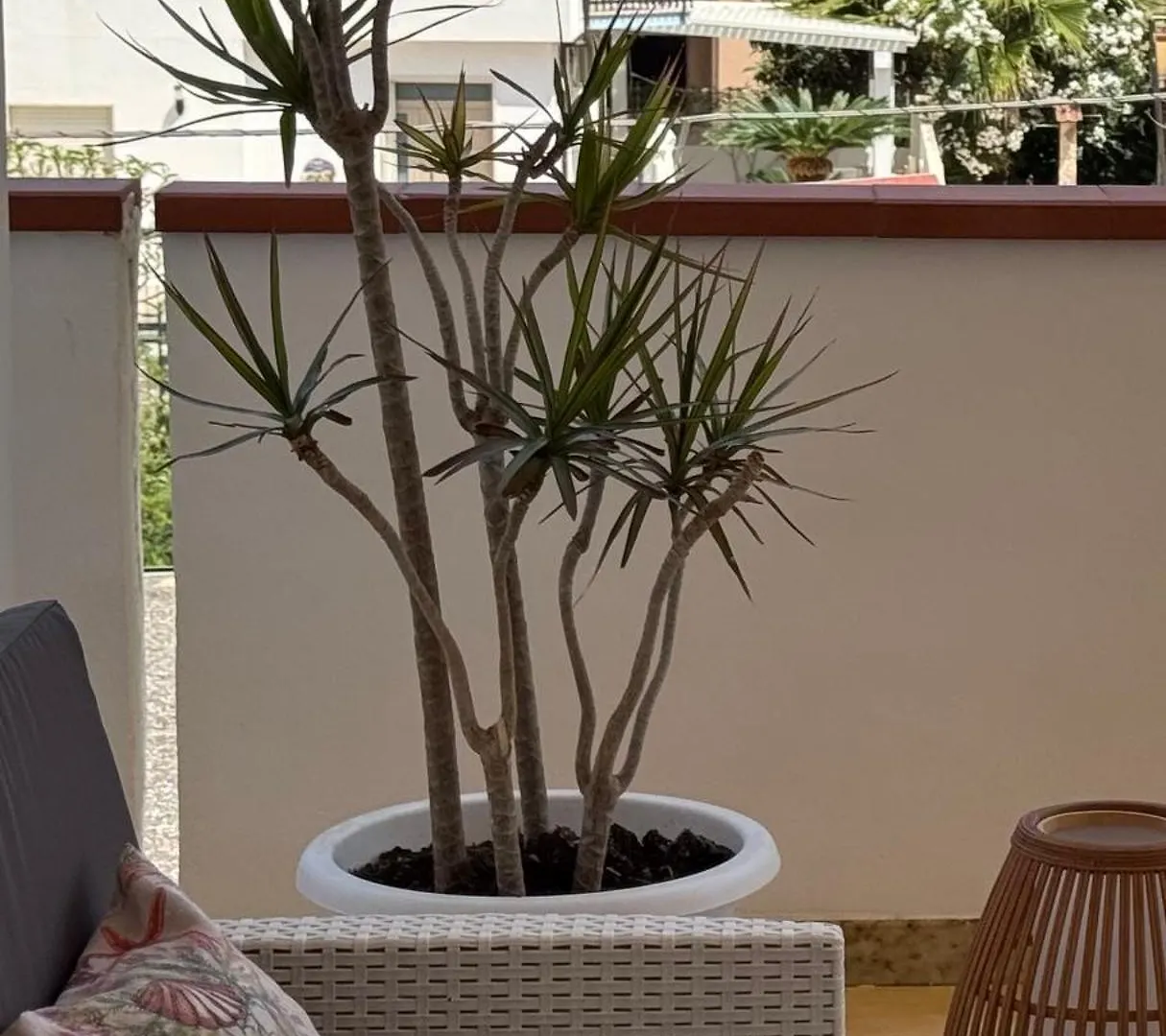 Relax And Comfort 3 Bedrooms With Ac Near The Beach With Terrace And Free Parking 알카모 0*,